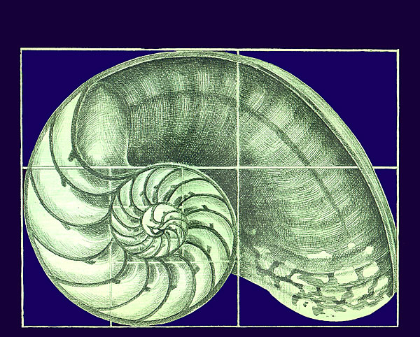 Beschreibung: ttps://i2.wp.com/transinformation.net/wp-content/uploads/2015/06/Hl-Geom-GS-300x166.png